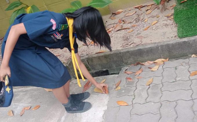 เก้บใบไม้
