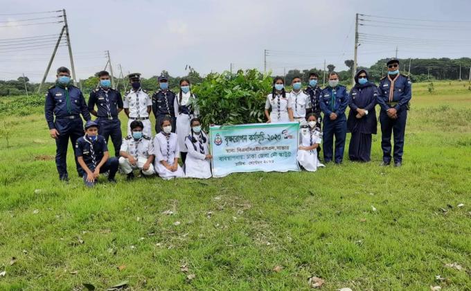 Tree Plantation 2020