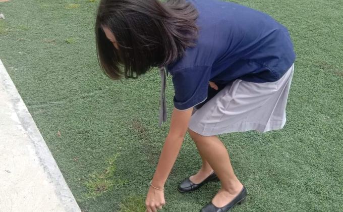 จิตอาสา