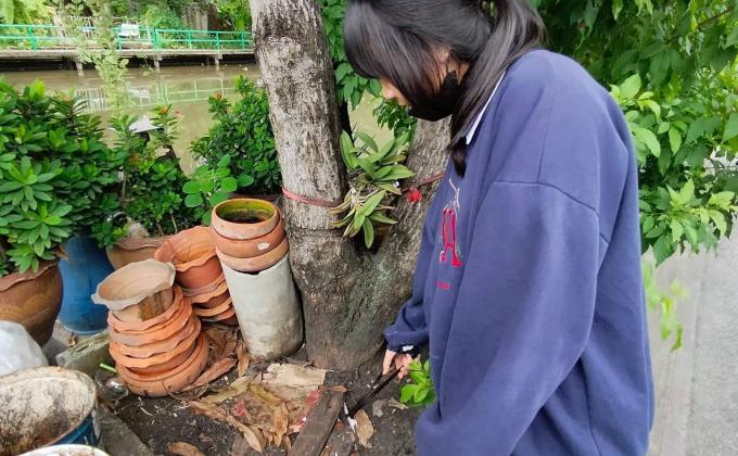 เก็บขฃยะในวิลัย