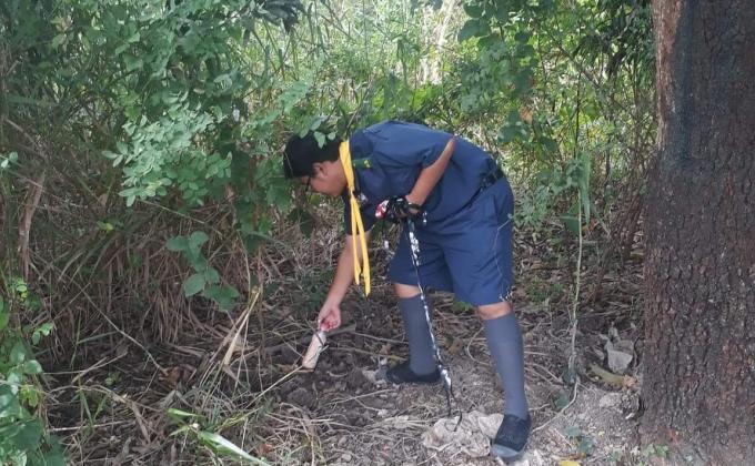 เก้บขยะในป่า