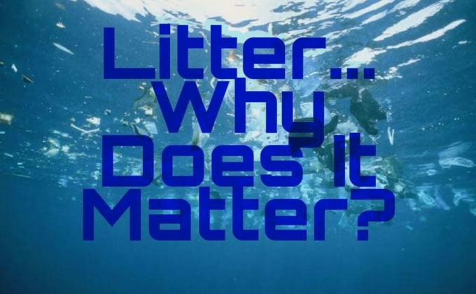 TTPC:Litter...Why Does It Matter