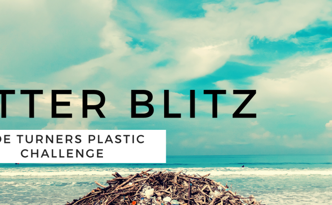 Litter Blitz- A Plastic Pollution Research