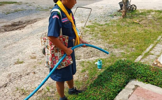 รดน้ำต้มไม้