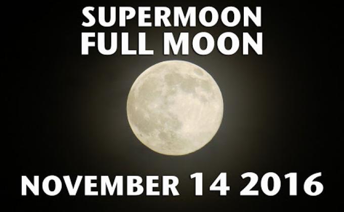 Observe the supermoon.