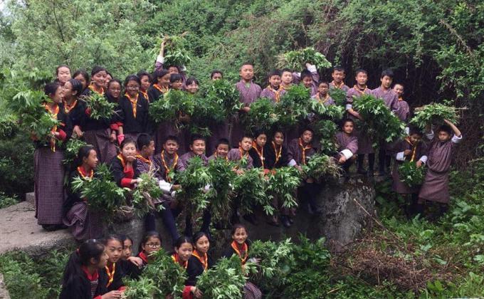 Together 4 Clean School Environment 