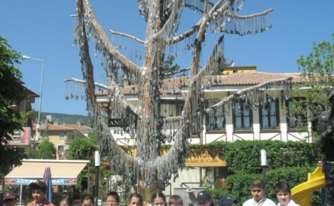 Summer camp with Forest Challenge