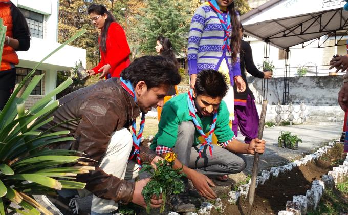 planting trees 