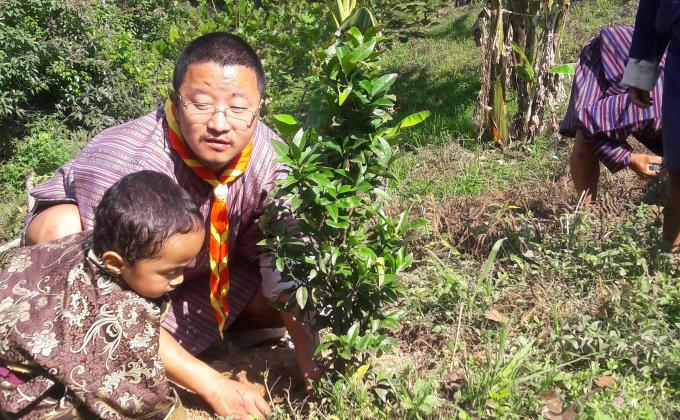 Orange tree plantation by scout and public
