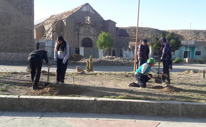 plantando vida