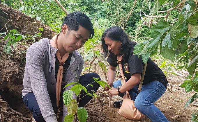 Tree Planting
