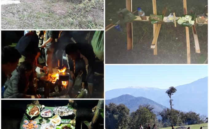 Surviving life in the wood