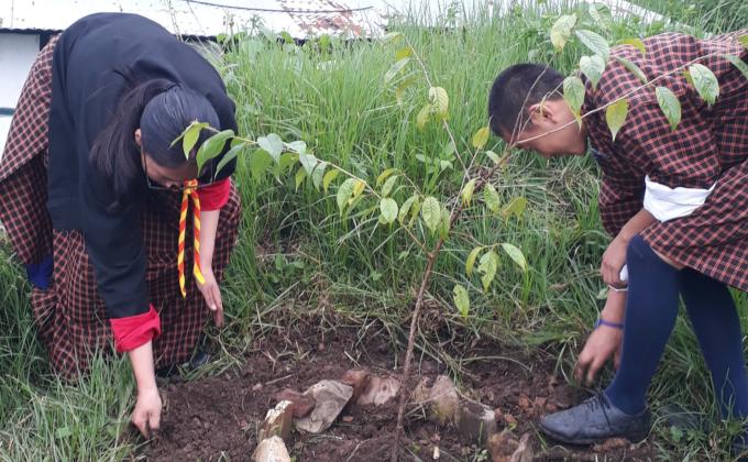 Ozone day crlebration