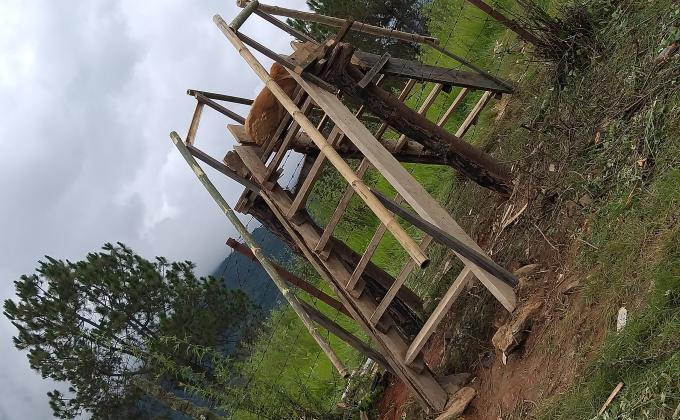 Construction of ladder