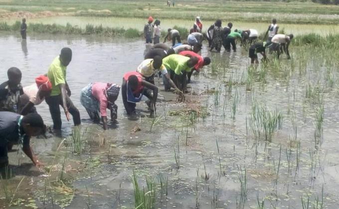 National Camp the Gambia 