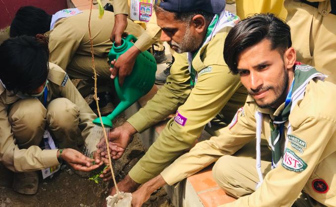 Tree plantation 