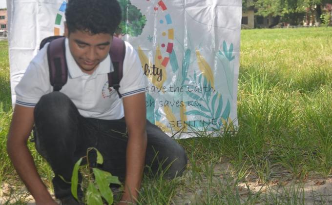 Tree Plantation & Plastic Cleaning at Fatulla Pilot High School 