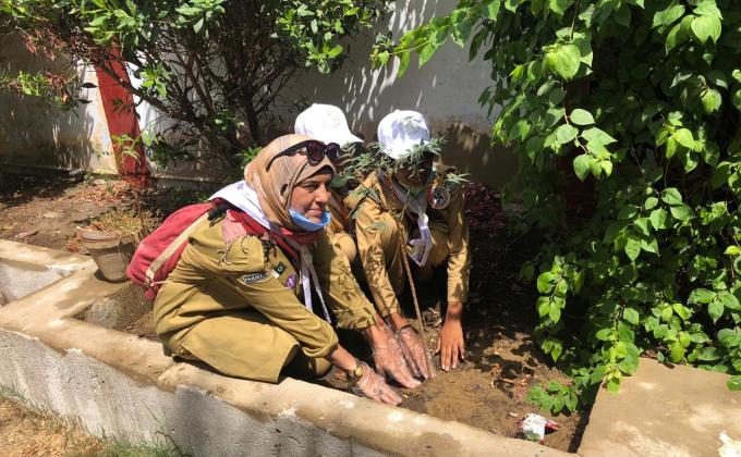 Plantation Action