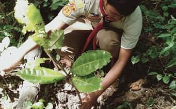 83rd National Scouting Month Celebration