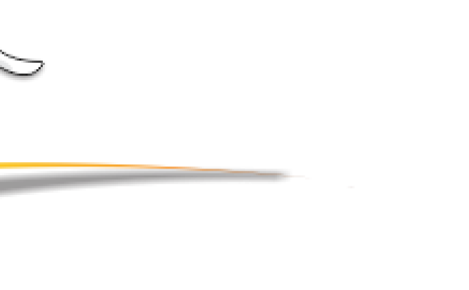Grupo Escoteiro Ipê Amarelo