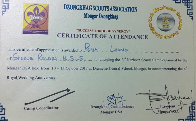 Scout Campaign to mark 6th Royal Wedding Anniversary 