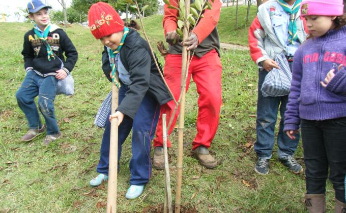 Mutirão Nacional Escoteiro de Ação Ecológica