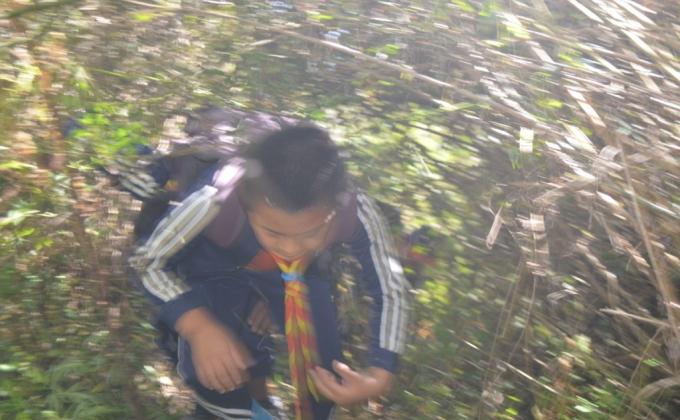 Hiking