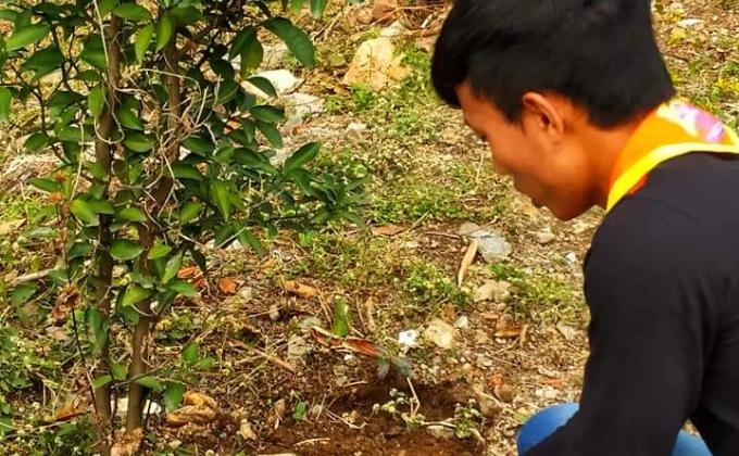 Save plant to sustain life