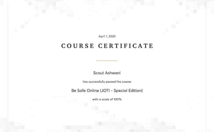 Done a course on Be Safe Online (JOTI- Special Edition)
