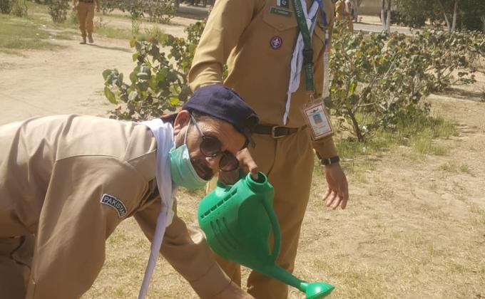Plant a tree