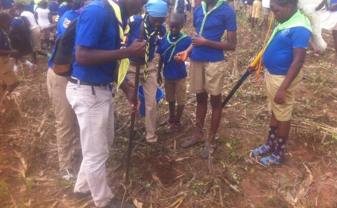  "one Tree for Peace" 