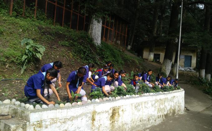Plantation in school campus