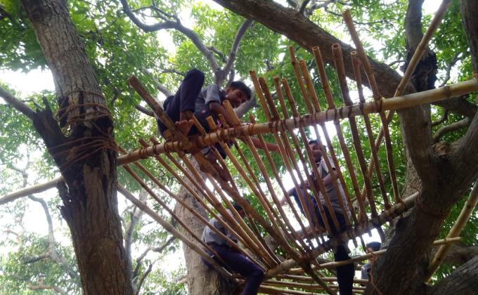 Tree Top shelter 