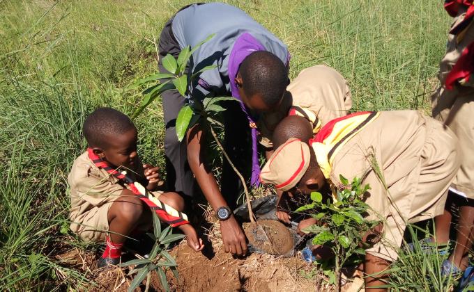 Tree planting by hillside Scout's club Uganda 