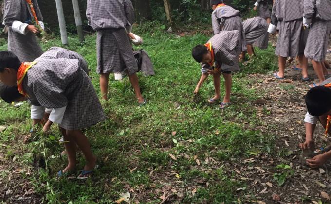 World Environment day