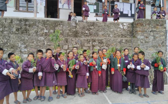 plantation of fruit trees around the school campus.