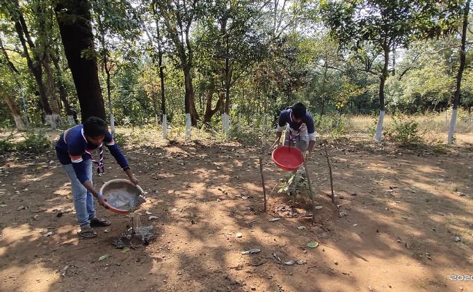 watering  to Plants - Campsite