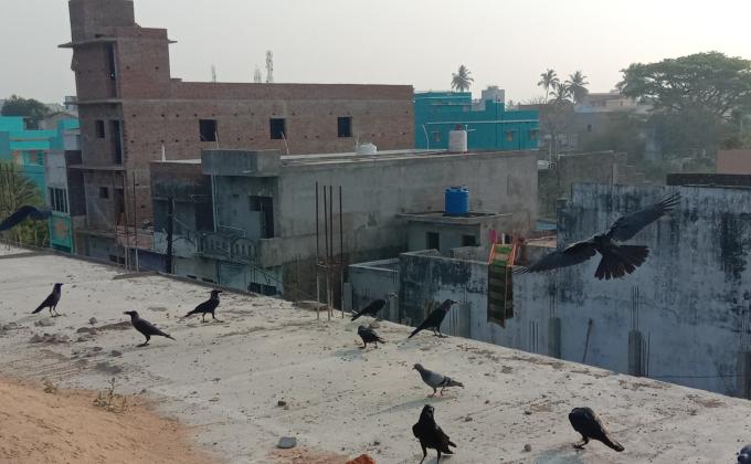 sankalp:to create a better tomorrow 