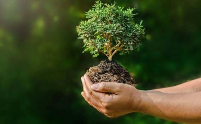 TREE_PLANTATION_CEREMONY