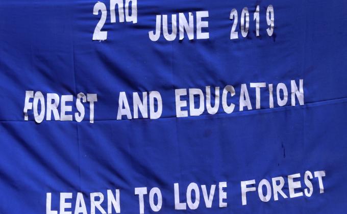 Forest and Education; Learn to Love Forest