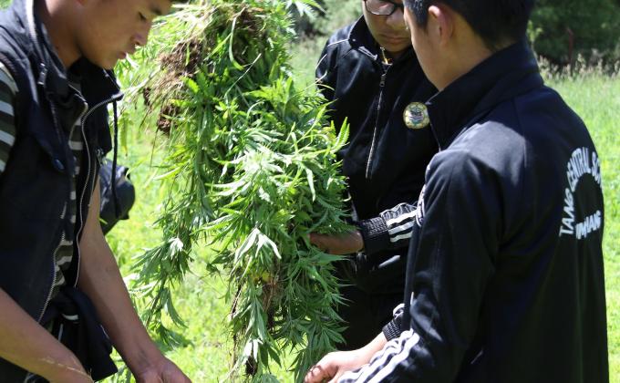 Make Everyday, No Tobacco Day