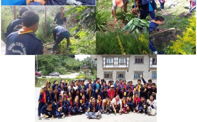 Plantation, 2nd june, 2019