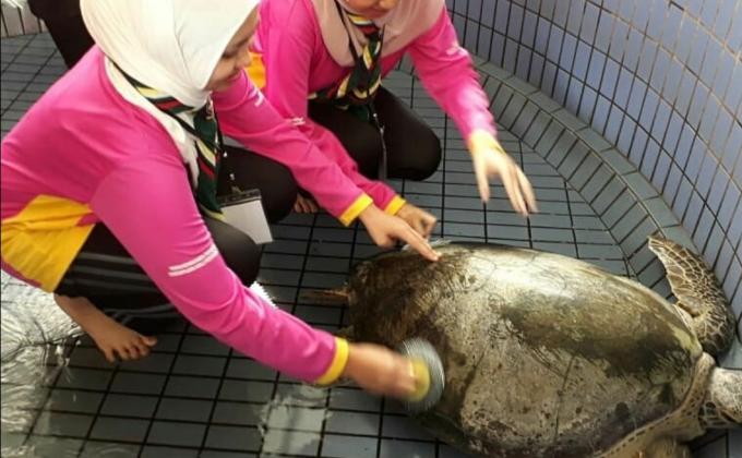 FIRST GIRL SCOUTS CAMP ORGANISED BY GIRL SCOUTS SECTION, BRUNEI DARUSSALAM SCOUTS ASSOCIATION 