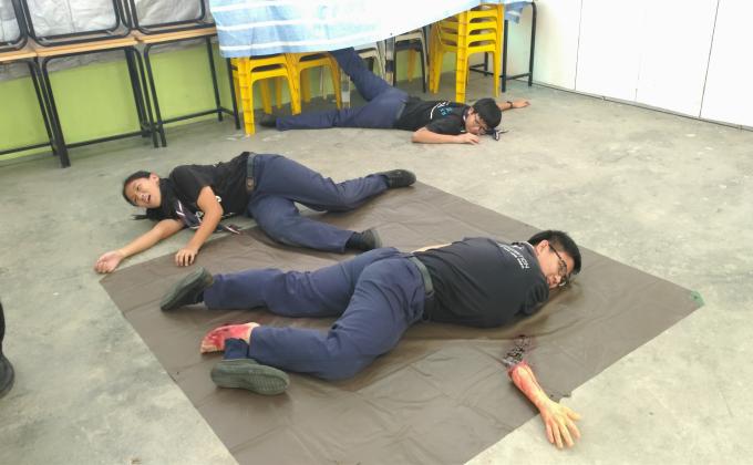 Help! Scouts in First Aid!