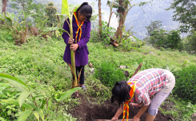 Social forestry day