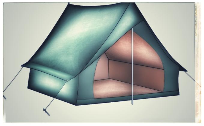 Better World Framework Briefing and 30-Day Camp