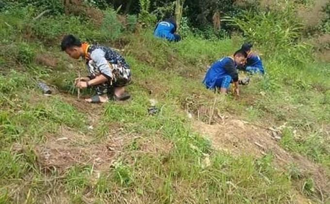 Plantation of trees for Peace