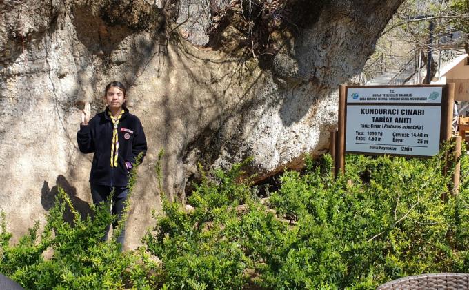 CAP '19 CCC : activity 04 / 10 : " VISIT A MONUMENT TREE"