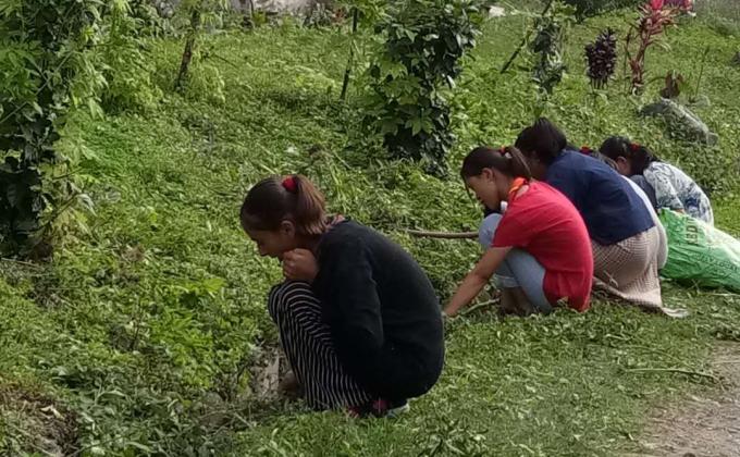 Social Forestry Day