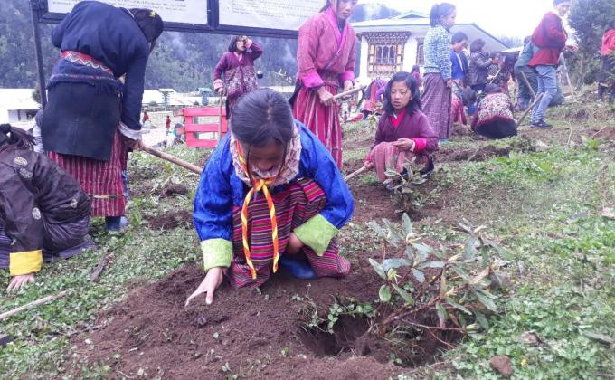 Social Forestry Day (2nd June 2019)